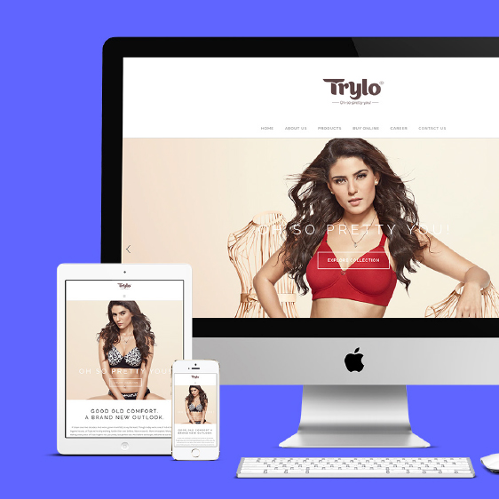 TRYLO INDUSTRIES UI/UX Design - website design